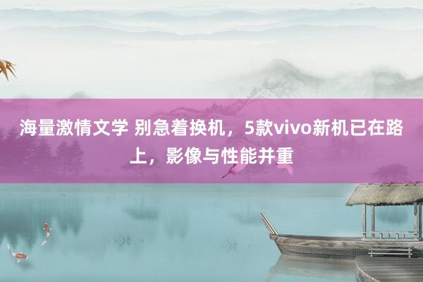 海量激情文学 别急着换机，5款vivo新机已在路上，影像与性能并重