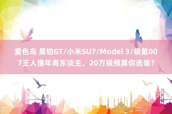 爱色岛 昊铂GT/小米SU7/Model 3/极氪007王人懂年青东谈主，20万级预算你选谁？