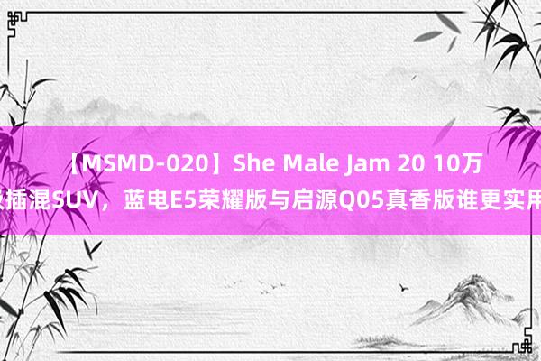 【MSMD-020】She Male Jam 20 10万级插混SUV，蓝电E5荣耀版与启源Q05真香版谁更实用？