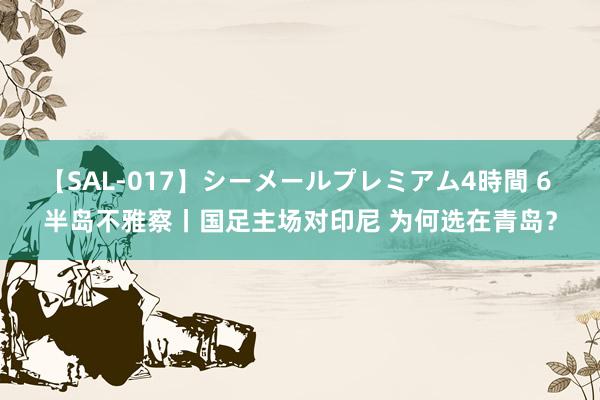 【SAL-017】シーメールプレミアム4時間 6 半岛不雅察丨国足主场对印尼 为何选在青岛？