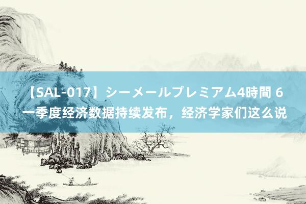 【SAL-017】シーメールプレミアム4時間 6 一季度经济数据持续发布，经济学家们这么说