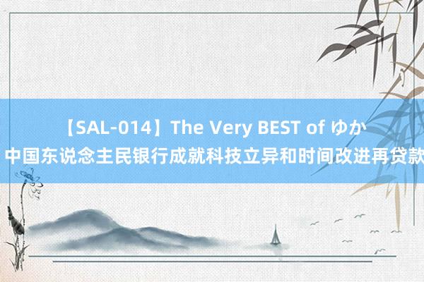 【SAL-014】The Very BEST of ゆか 中国东说念主民银行成就科技立异和时间改进再贷款