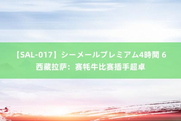 【SAL-017】シーメールプレミアム4時間 6 西藏拉萨：赛牦牛比赛插手超卓