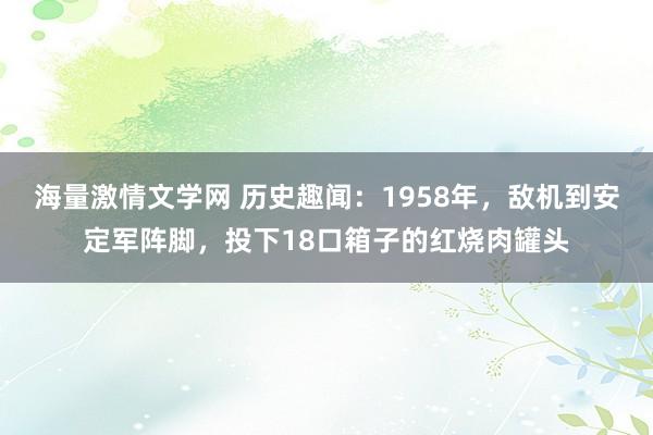 海量激情文学网 历史趣闻：1958年，敌机到安定军阵脚，投下18口箱子的红烧肉罐头