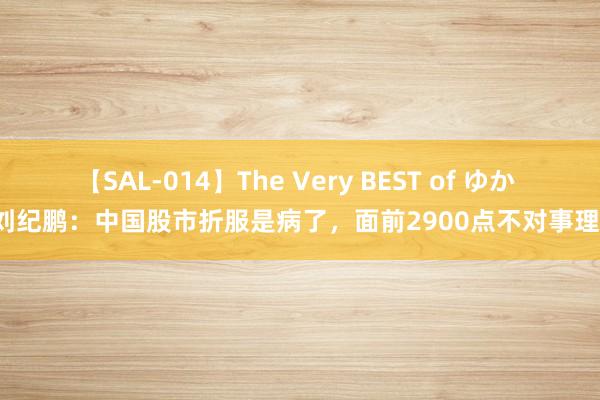 【SAL-014】The Very BEST of ゆか 刘纪鹏：中国股市折服是病了，面前2900点不对事理！