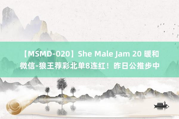 【MSMD-020】She Male Jam 20 暖和微信-狼王荐彩北单8连红！昨日公推步中