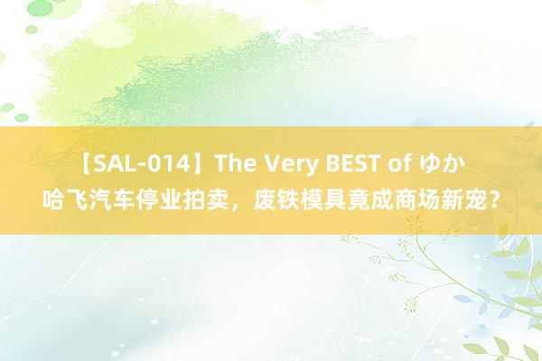 【SAL-014】The Very BEST of ゆか 哈飞汽车停业拍卖，废铁模具竟成商场新宠？