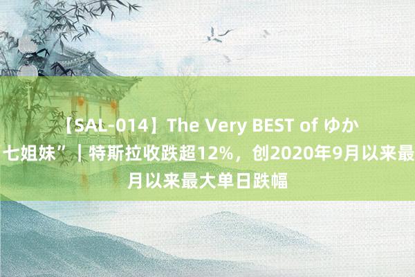 【SAL-014】The Very BEST of ゆか 好意思股“七姐妹”｜特斯拉收跌超12%，创2020年9月以来最大单日跌幅