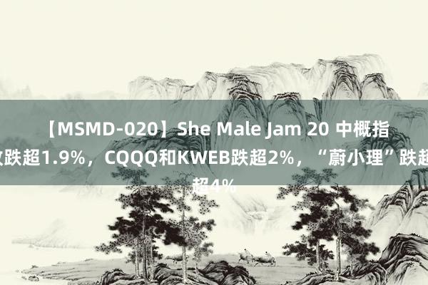 【MSMD-020】She Male Jam 20 中概指数收跌超1.9%，CQQQ和KWEB跌超2%，“蔚小理”跌超4%