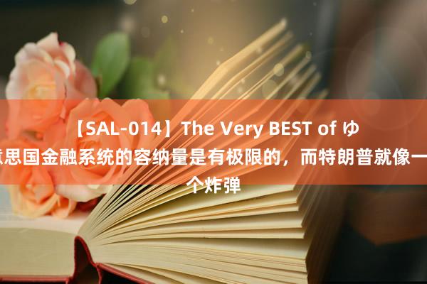 【SAL-014】The Very BEST of ゆか 好意思国金融系统的容纳量是有极限的，而特朗普就像一个炸弹