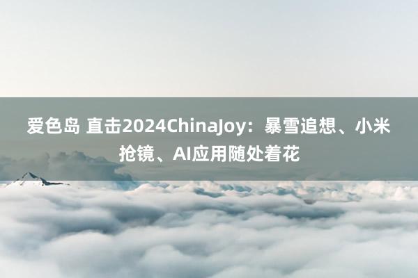 爱色岛 直击2024ChinaJoy：暴雪追想、小米抢镜、AI应用随处着花