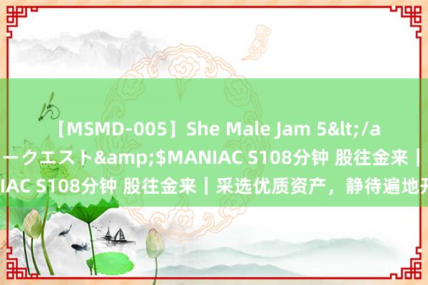 【MSMD-005】She Male Jam 5</a>2008-08-04グローリークエスト&$MANIAC S108分钟 股往金来｜采选优质资产，静待遍地开花