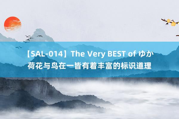 【SAL-014】The Very BEST of ゆか 荷花与鸟在一皆有着丰富的标识道理