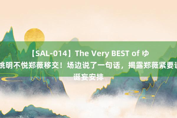 【SAL-014】The Very BEST of ゆか 疑似姚明不悦郑薇移交！场边说了一句话，揭露郑薇紧要诞妄安排