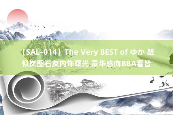 【SAL-014】The Very BEST of ゆか 疑似岚图石友内饰曝光 豪华感向BBA看皆