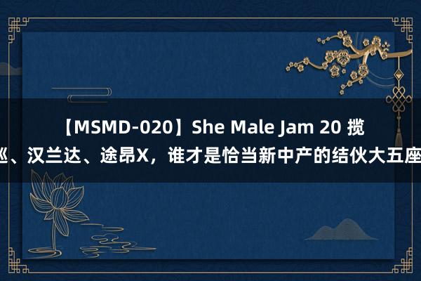 【MSMD-020】She Male Jam 20 揽巡、汉兰达、途昂X，谁才是恰当新中产的结伙大五座？