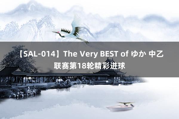 【SAL-014】The Very BEST of ゆか 中乙联赛第18轮精彩进球