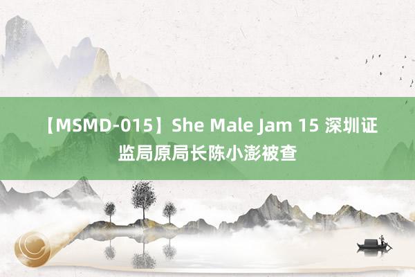 【MSMD-015】She Male Jam 15 深圳证监局原局长陈小澎被查