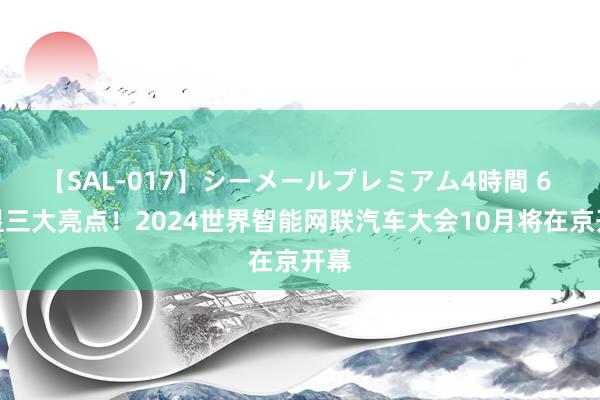 【SAL-017】シーメールプレミアム4時間 6 突显三大亮点！2024世界智能网联汽车大会10月将在京开幕