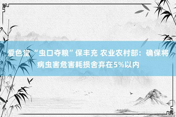 爱色堂 “虫口夺粮”保丰充 农业农村部：确保将病虫害危害耗损舍弃在5%以内