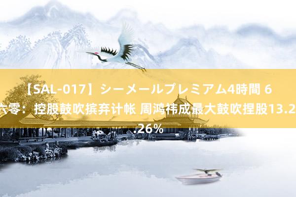 【SAL-017】シーメールプレミアム4時間 6 三六零：控股鼓吹摈弃计帐 周鸿祎成最大鼓吹捏股13.26%