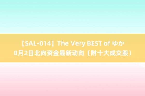 【SAL-014】The Very BEST of ゆか 8月2日北向资金最新动向（附十大成交股）