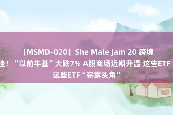 【MSMD-020】She Male Jam 20 跨境ETF集体重挫！“以前牛基”大跌7% A股商场近期升温 这些ETF“崭露头角”