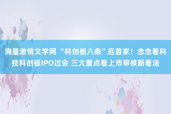 海量激情文学网 “科创板八条”后首家！念念看科技科创板IPO过会 三大重点看上市审核新看法