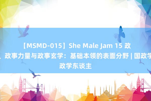 【MSMD-015】She Male Jam 15 政事对象、政事力量与政事玄学：基础本领的表面分野 | 国政学东谈主