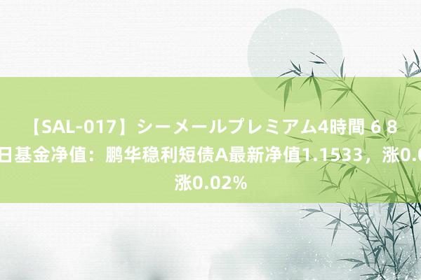 【SAL-017】シーメールプレミアム4時間 6 8月2日基金净值：鹏华稳利短债A最新净值1.1533，涨0.02%