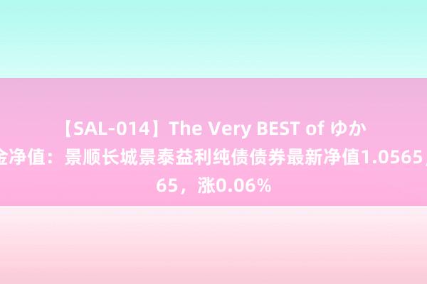 【SAL-014】The Very BEST of ゆか 8月2日基金净值：景顺长城景泰益利纯债债券最新净值1.0565，涨0.06%