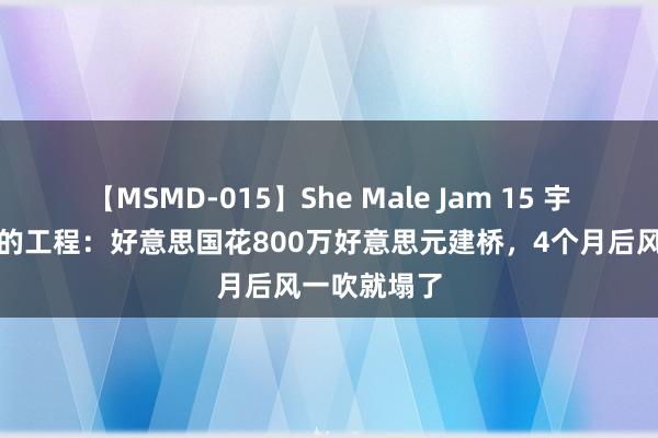 【MSMD-015】She Male Jam 15 宇宙上最离谱的工程：好意思国花800万好意思元建桥，4个月后风一吹就塌了