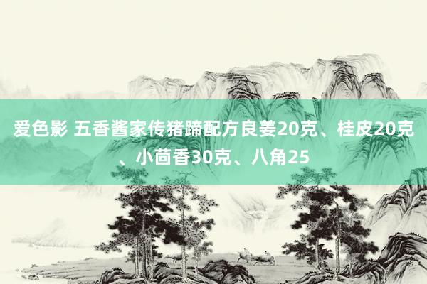 爱色影 五香酱家传猪蹄配方良姜20克、桂皮20克、小茴香30克、八角25