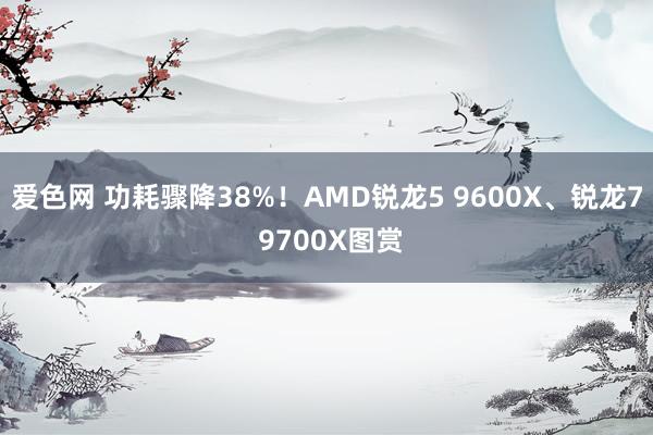 爱色网 功耗骤降38%！AMD锐龙5 9600X、锐龙7 9700X图赏