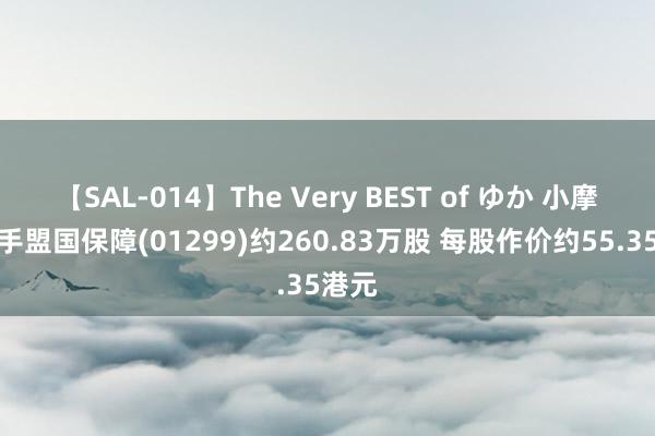 【SAL-014】The Very BEST of ゆか 小摩增合手盟国保障(01299)约260.83万股 每股作价约55.35港元