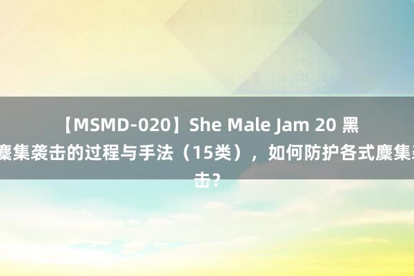 【MSMD-020】She Male Jam 20 黑客对麇集袭击的过程与手法（15类），如何防护各式麇集袭击？