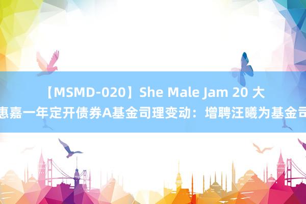 【MSMD-020】She Male Jam 20 大成惠嘉一年定开债券A基金司理变动：增聘汪曦为基金司理