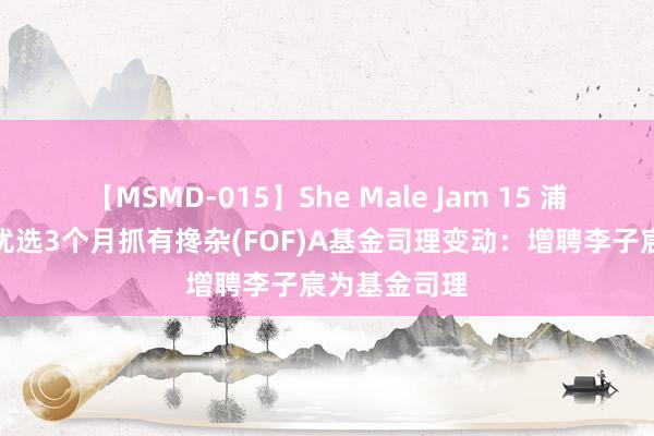 【MSMD-015】She Male Jam 15 浦银安盛睿和优选3个月抓有搀杂(FOF)A基金司理变动：增聘李子宸为基金司理