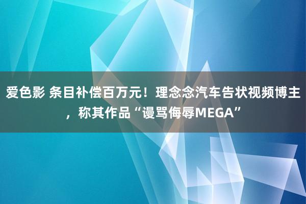 爱色影 条目补偿百万元！理念念汽车告状视频博主，称其作品“谩骂侮辱MEGA”