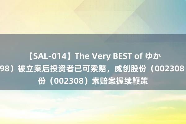 【SAL-014】The Very BEST of ゆか 沈阳化工（000698）被立案后投资者已可索赔，威创股份（002308）索赔案握续鞭策