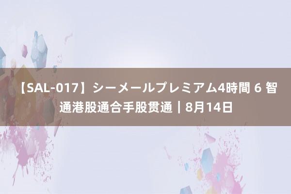 【SAL-017】シーメールプレミアム4時間 6 智通港股通合手股贯通｜8月14日