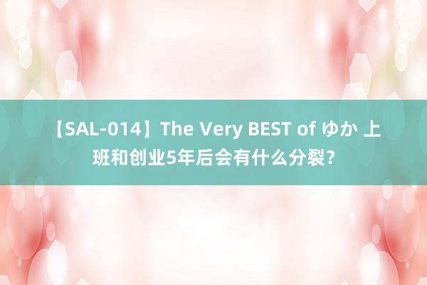 【SAL-014】The Very BEST of ゆか 上班和创业5年后会有什么分裂？