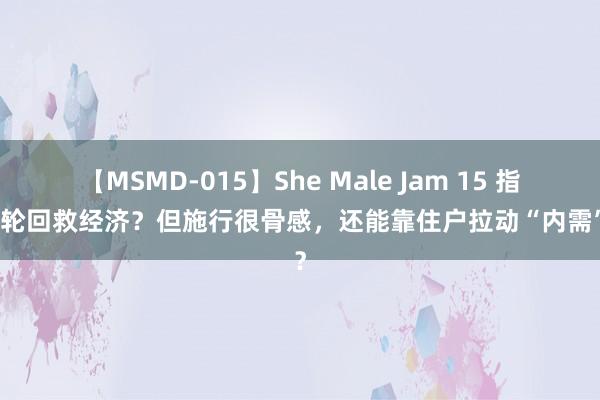 【MSMD-015】She Male Jam 15 指望内轮回救经济？但施行很骨感，还能靠住户拉动“内需”吗？