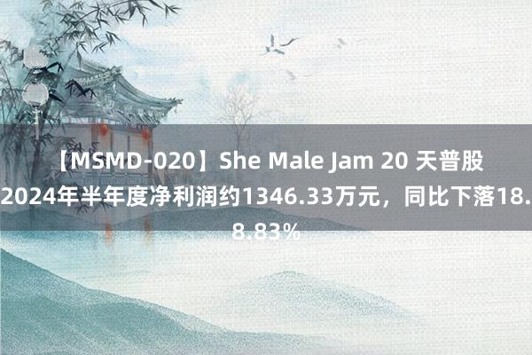 【MSMD-020】She Male Jam 20 天普股份：2024年半年度净利润约1346.33万元，同比下落18.83%