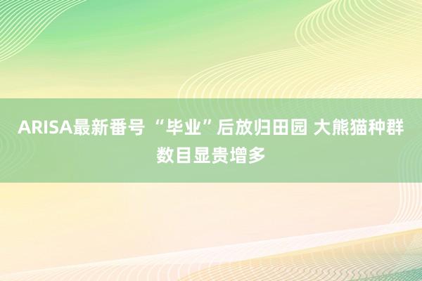 ARISA最新番号 “毕业”后放归田园 大熊猫种群数目显贵增多