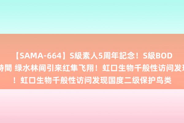 【SAMA-664】S級素人5周年記念！S級BODY中出しBEST30 8時間 绿水林间引来红隼飞翔！虹口生物千般性访问发现国度二级保护鸟类