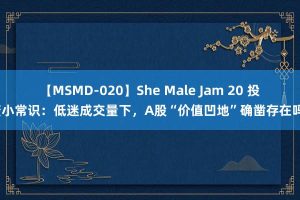 【MSMD-020】She Male Jam 20 投资小常识：低迷成交量下，A股“价值凹地”确凿存在吗？