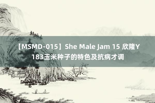 【MSMD-015】She Male Jam 15 欣隆Y183玉米种子的特色及抗病才调