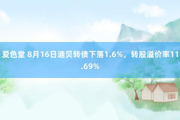 爱色堂 8月16日迪贝转债下落1.6%，转股溢价率11.69%