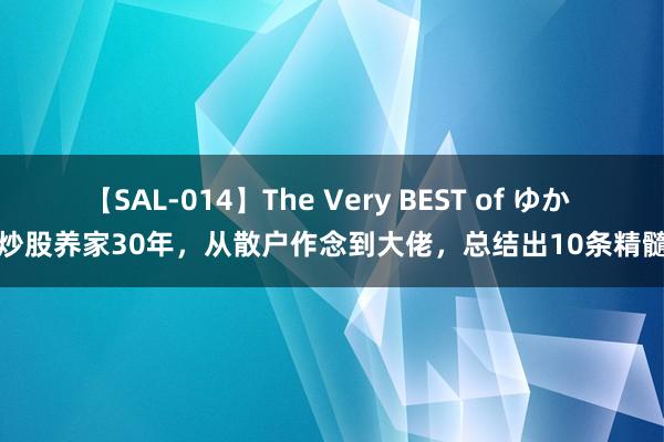 【SAL-014】The Very BEST of ゆか 炒股养家30年，从散户作念到大佬，总结出10条精髓